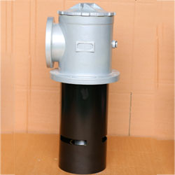 �Է�ʽ���͞V����